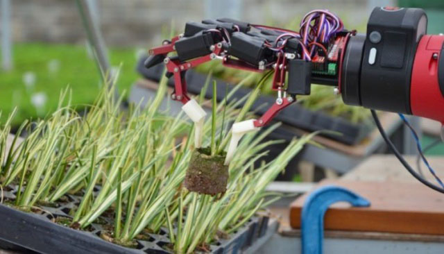 協(xié)作機器人的5種特殊應用案例